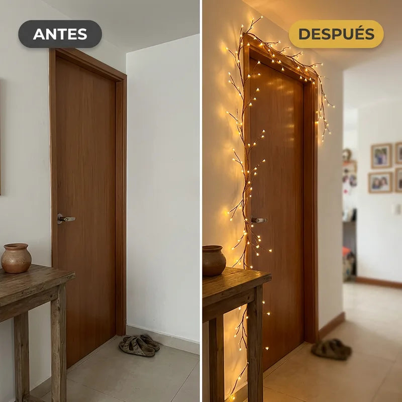 Antes y después: puerta de entrada
